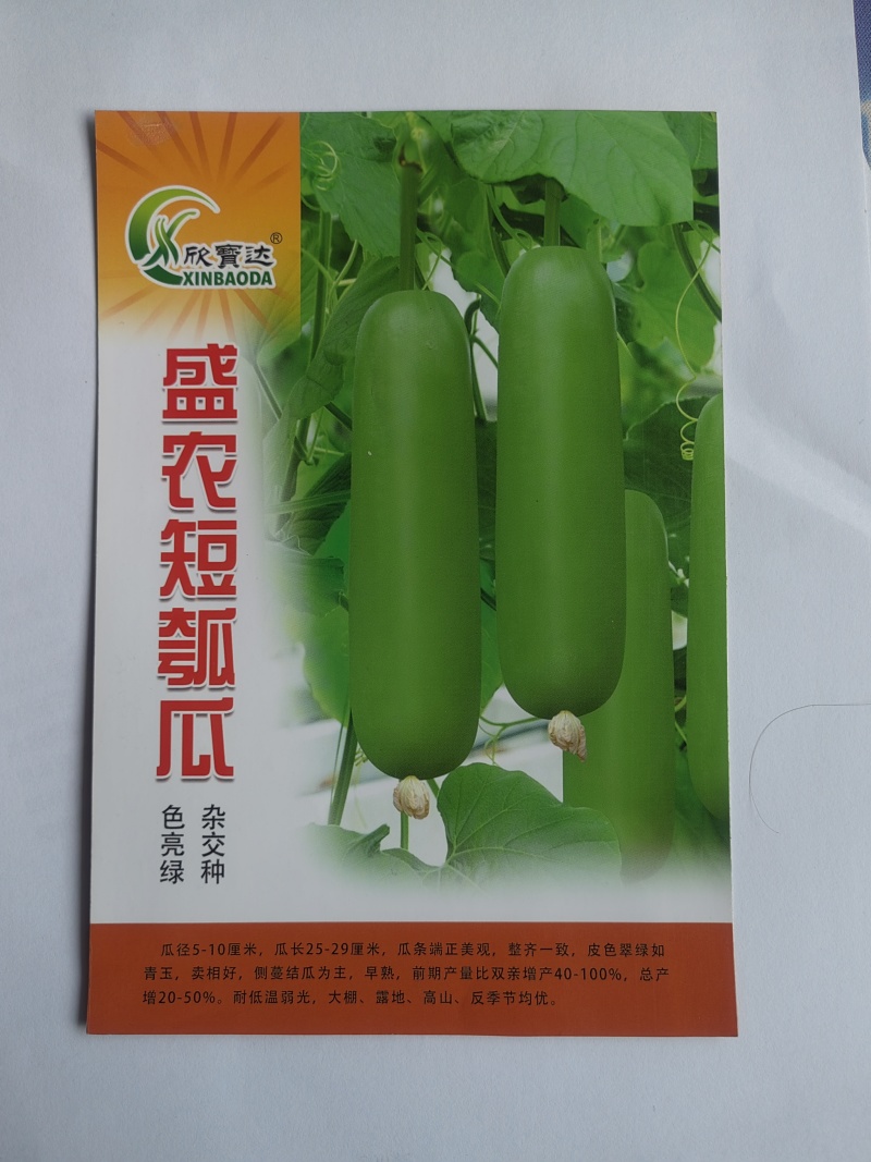 盛农短瓠子瓜种子早熟口感好商品性佳品质优良易种植好管理