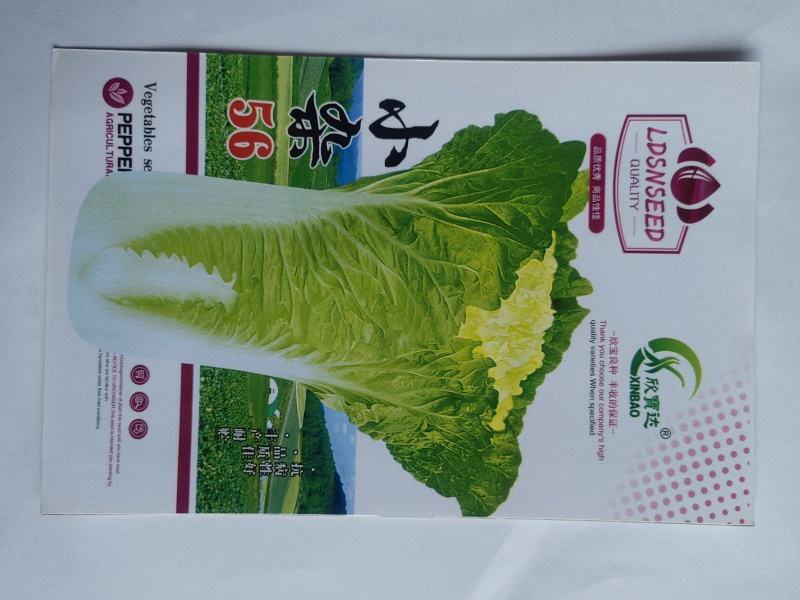 小杂56白菜种子早熟耐热适应性广泛优质品种易种植好管理
