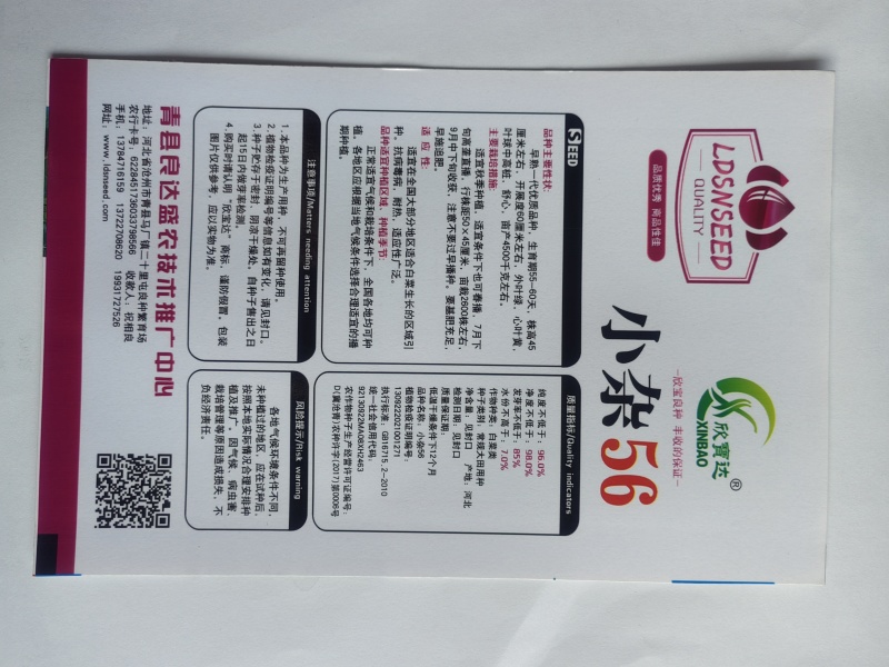 小杂56白菜种子早熟耐热适应性广泛优质品种易种植好管理