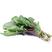紫衣仙子菠菜种子叶片肥厚产量高质嫩口感佳品质优良易种植