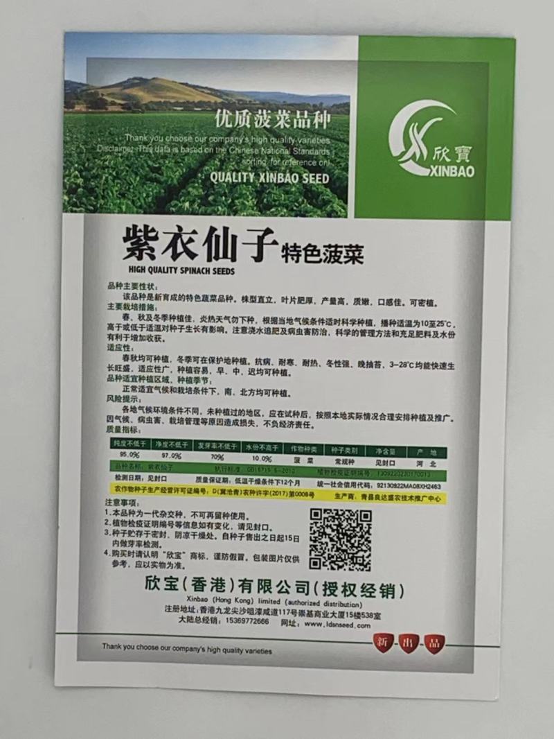 紫衣仙子菠菜种子叶片肥厚产量高质嫩口感佳品质优良易种植