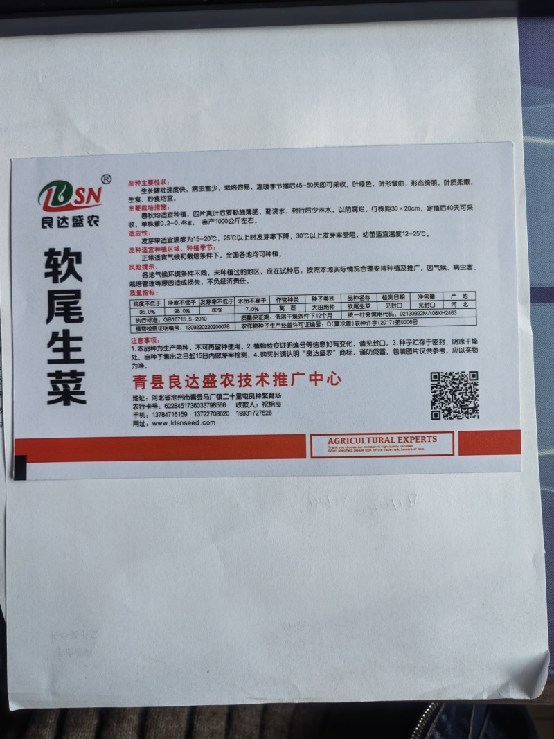 软尾生菜种子生长健壮速度快栽培容易叶质柔嫩品质优良易种植