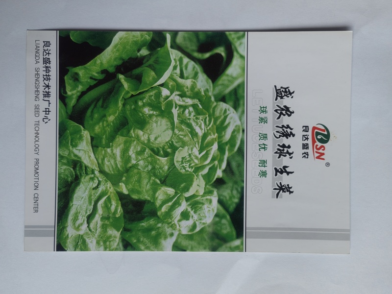 盛农绣球生菜种子球紧质优耐寒抗病味脆甜易栽培产量高好管理
