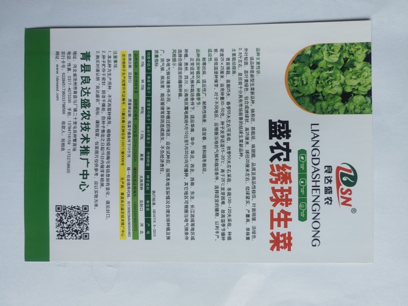 盛农绣球生菜种子球紧质优耐寒抗病味脆甜易栽培产量高好管理