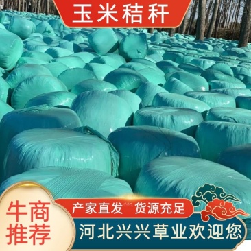 河北精品玉米秸秆全年有货量大从优品质保证欢迎联系