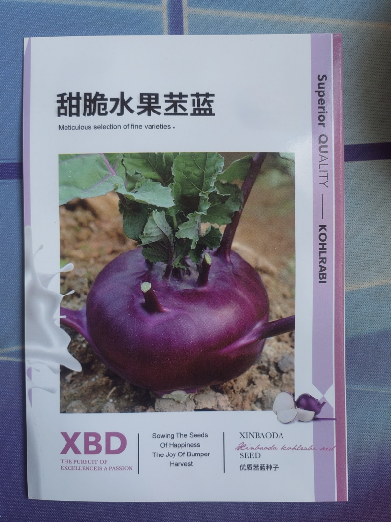 甜脆水果苤蓝种子球形扁圆外皮紫色球面光滑叶片少品质优良