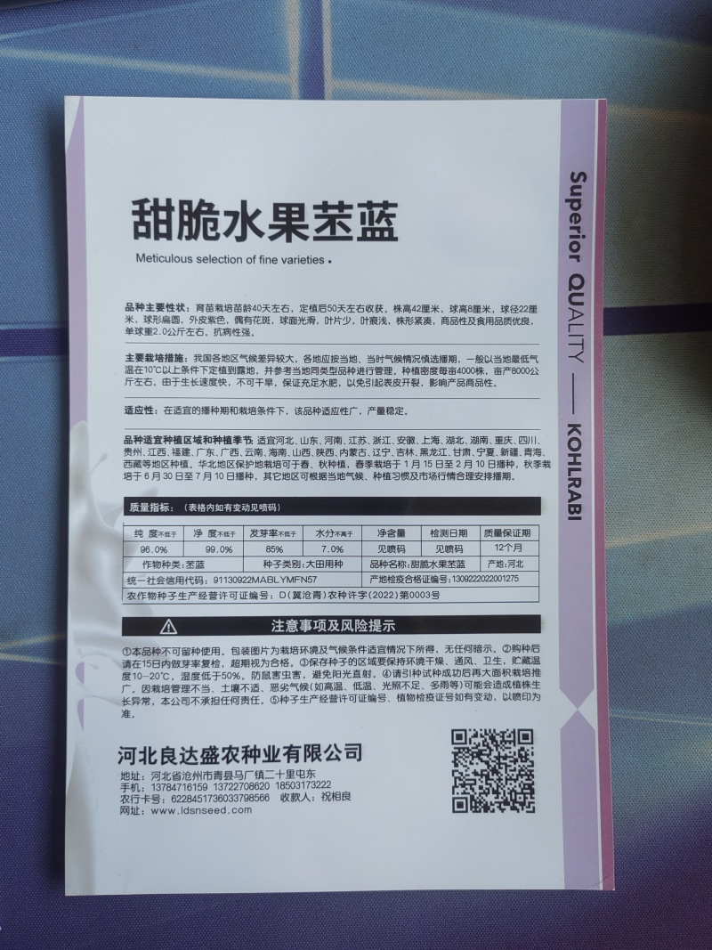 甜脆水果苤蓝种子球形扁圆外皮紫色球面光滑叶片少品质优良