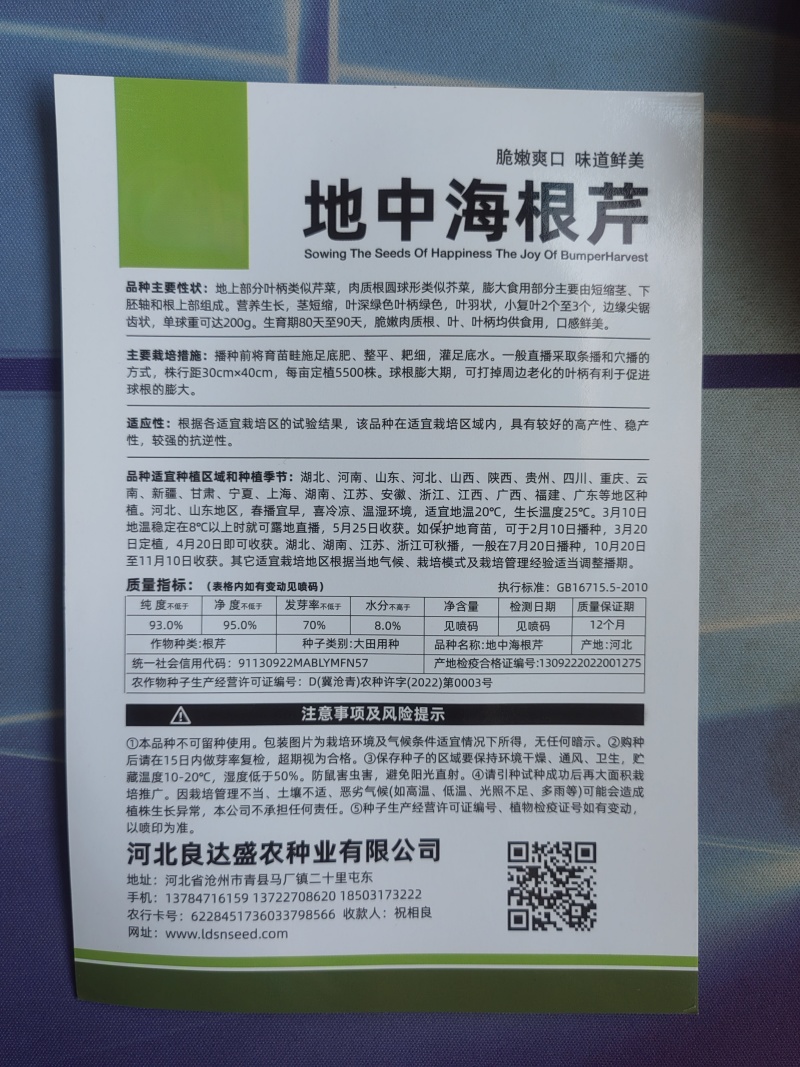 地中海根芹芹菜种子肉质脆嫩口感鲜美产量高品质优良易种植