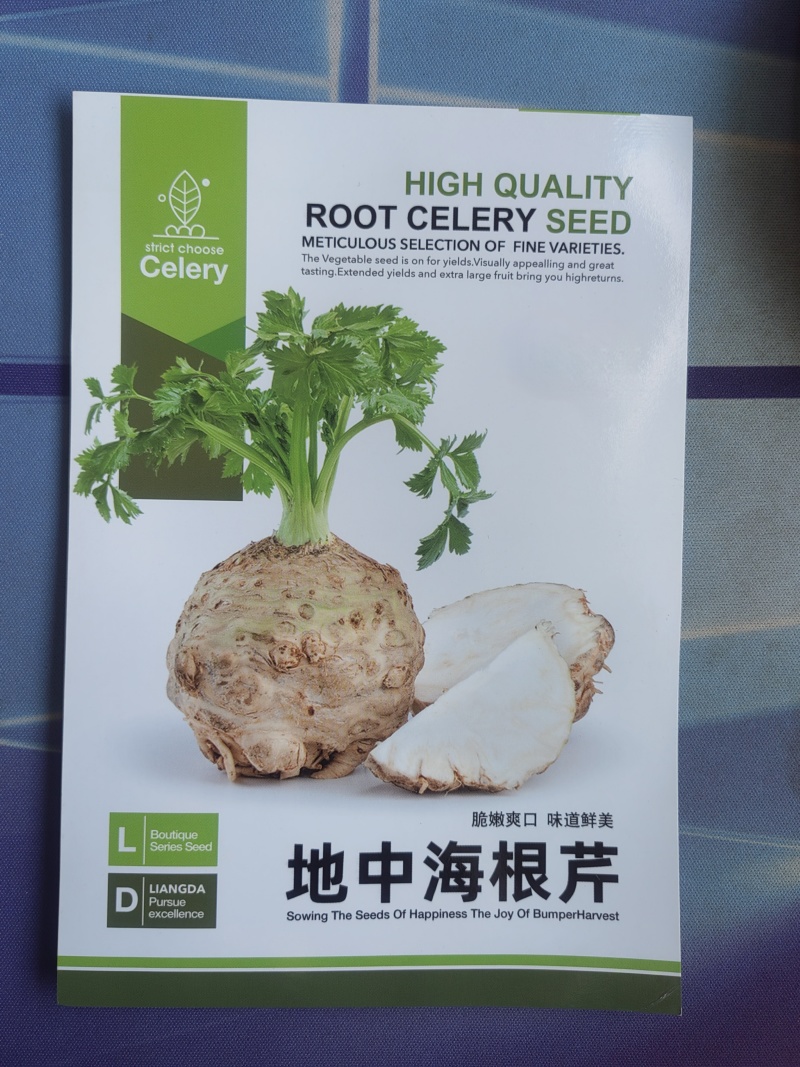 地中海根芹芹菜种子肉质脆嫩口感鲜美产量高品质优良易种植