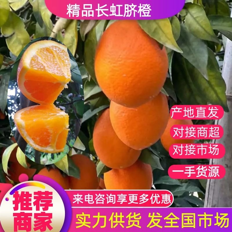 湖北长虹脐橙火红色橙子口感好汁水多供货稳定秭归果园直供