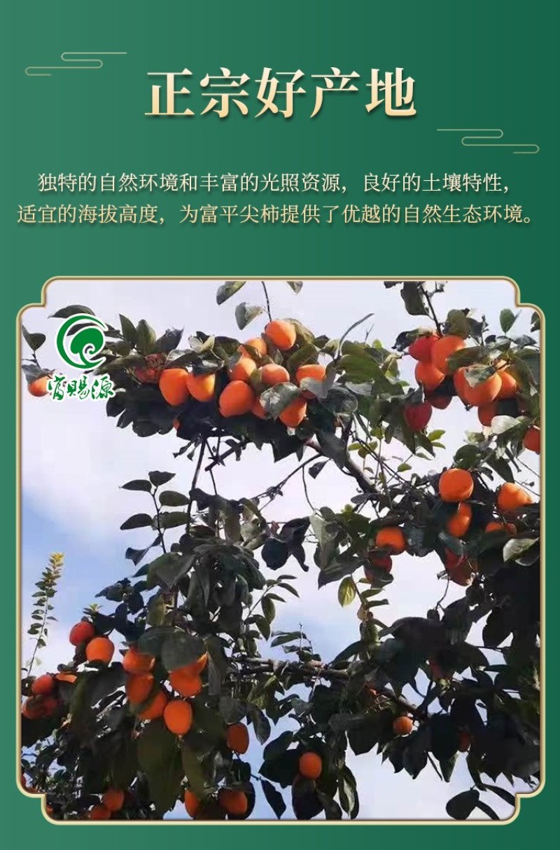 柿饼富平柿饼【富赐源】软糯香甜可口双红陶罐一件代发