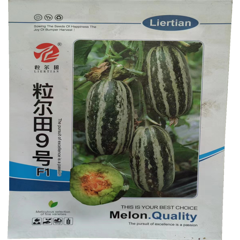 粒尔田9号甜瓜种子博洋9号甜瓜薄皮品质好甜瓜种籽香瓜种子