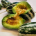 粒尔田9号甜瓜种子博洋9号甜瓜薄皮品质好甜瓜种籽香瓜种子