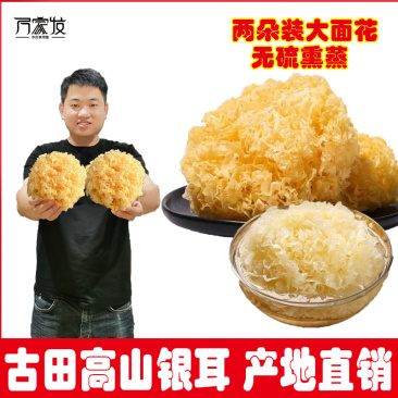 古田高山银耳2朵规格包装各种规格都可以订做量大从优