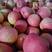 红富士苹果甘肃精品苹果产地直销苹果量大从优欢迎联系