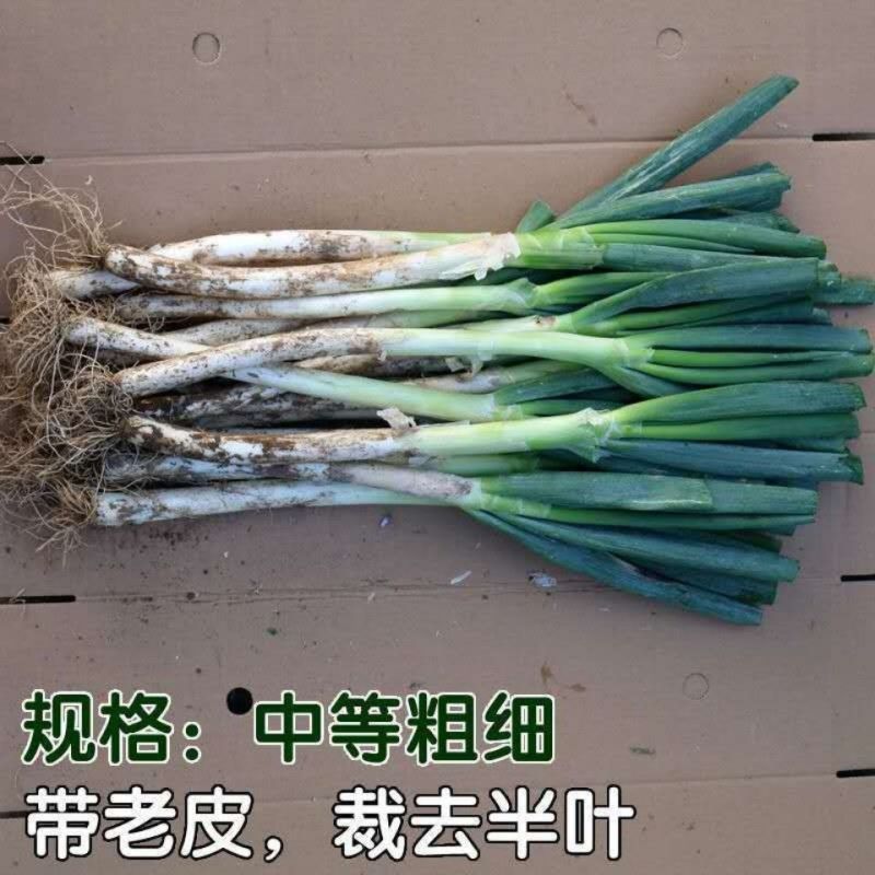 精品大量有货，一手货源，品质保证，产地直发，优选