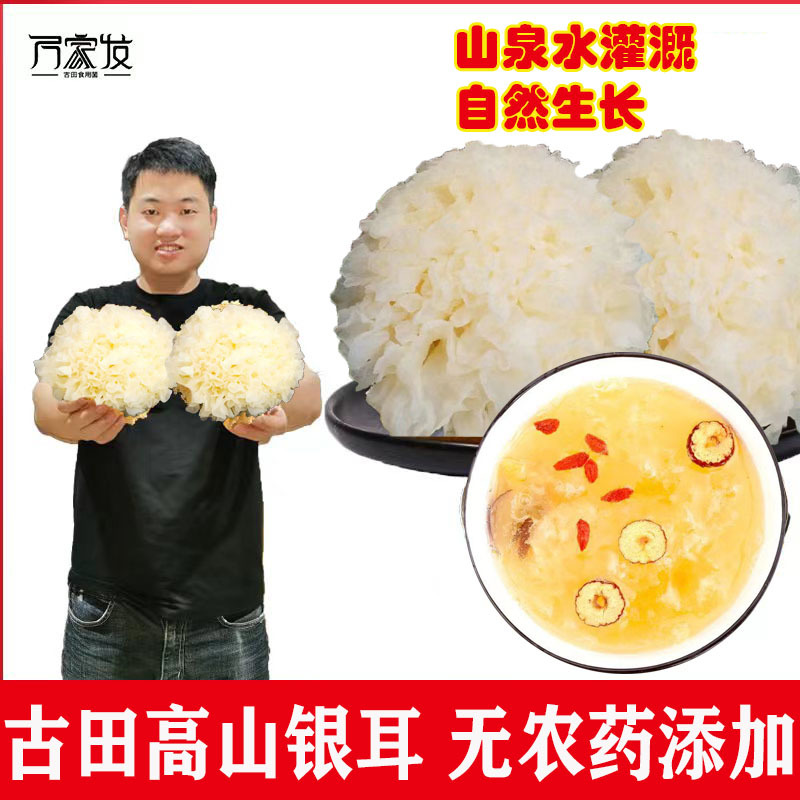 福建古田新鲜银耳高山银耳莲子羹必配品6朵装