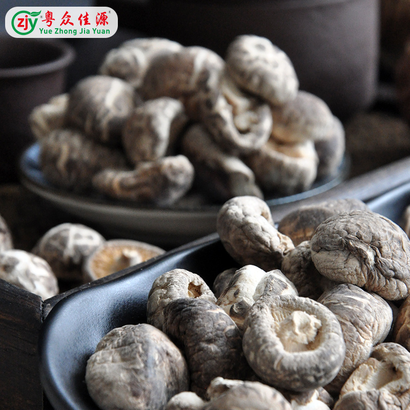 粤众佳源小花菇