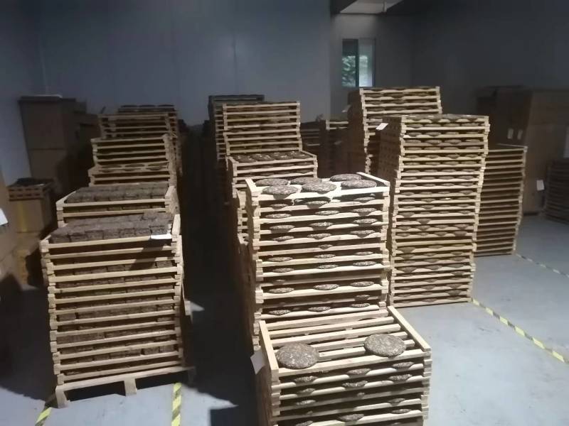 云南古树普洱生茶加工厂批发量大从优（昆明五华区妙海茶厂