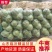山东临沂精品甘蓝，基地发货，诚信经营，保质保量，价格美丽