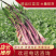 【精品好货】红菜苔，一手货源，质优价美，全国发货