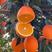 【荐】湖北纯甜橙纽荷尔脐橙秭归优质脐橙红九对接全国欢迎来电