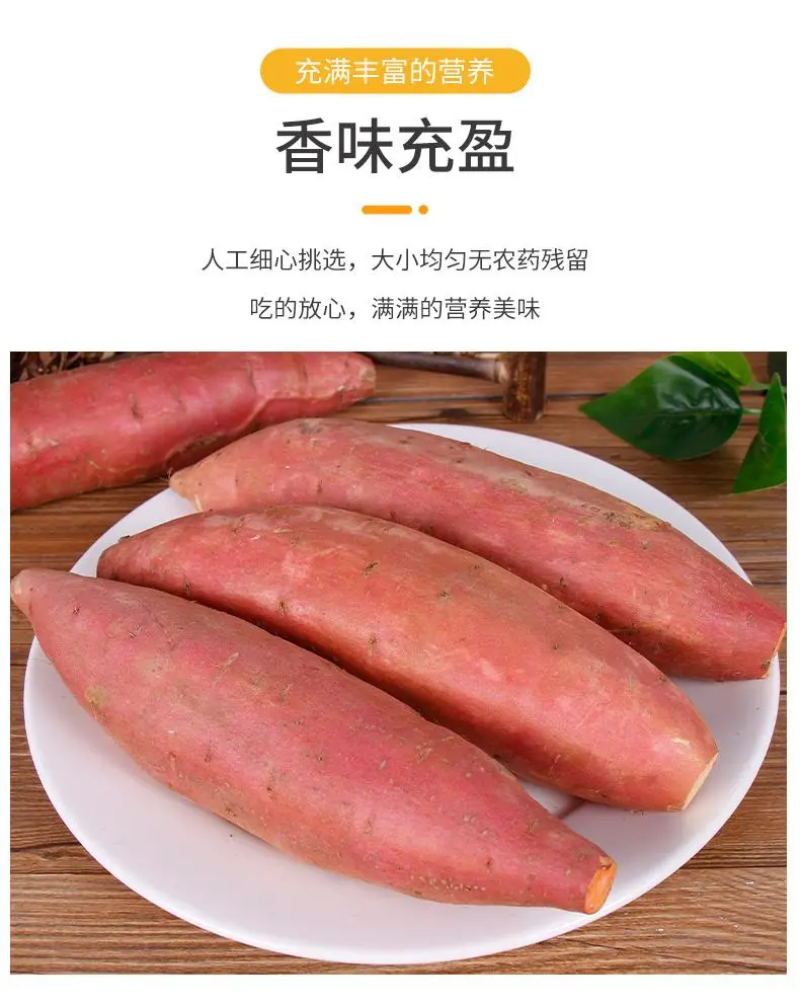 烤薯店专用，沙地红皮心蜜薯，烟薯烤薯规格沟通好再下单