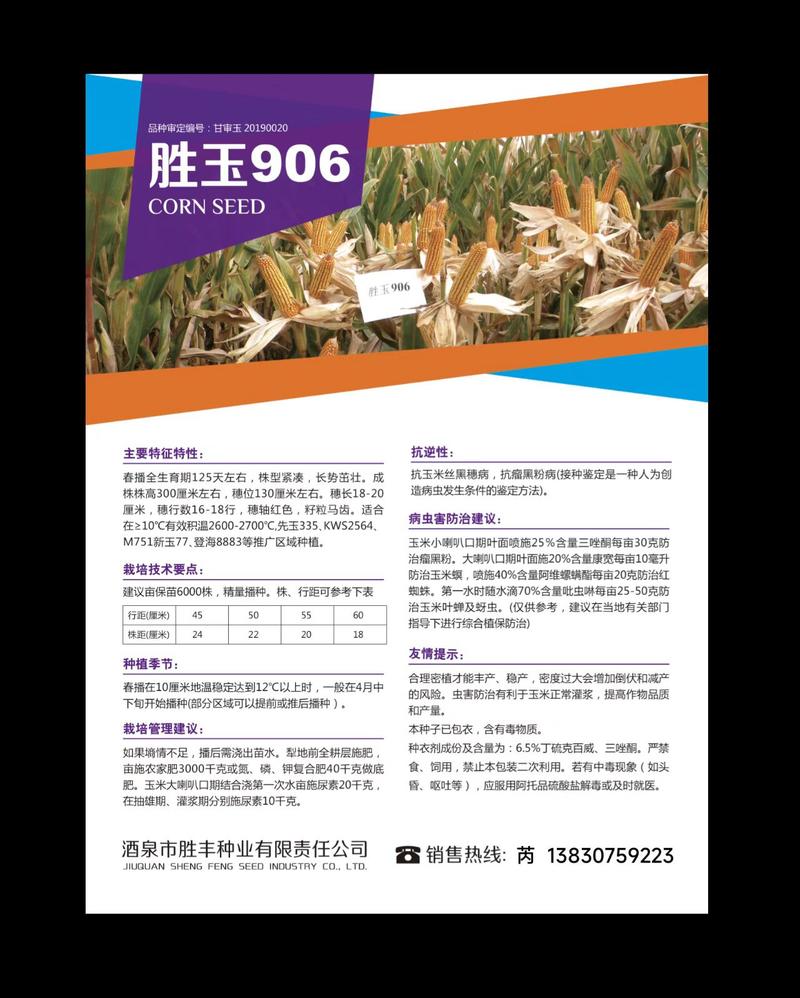 （实力供货）胜玉906高产玉米种子，价格优惠！