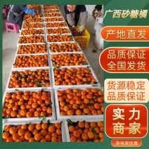广西砂糖橘产地直发品质保证欢迎咨询合作