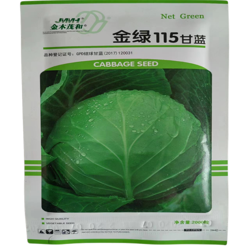 金木茂禾甘蓝种子金绿115甘蓝种子基地全绿硬球软心早熟高