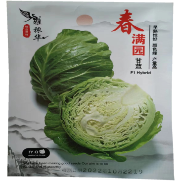 春满园甘蓝种子耐热包菜种子抗热夏播雄性大头菜卷心菜包心籽