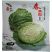 春满园甘蓝种子耐热包菜种子抗热夏播雄性大头菜卷心菜包心籽