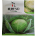 春秋50甘蓝种子早熟绿菜卷心种子四季均可种植高产大头菜
