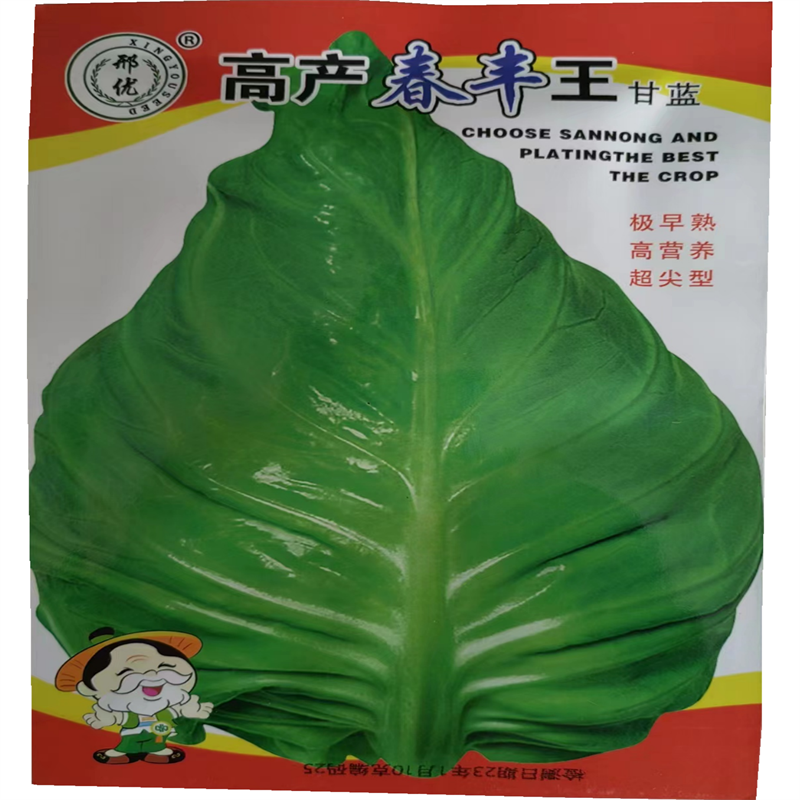牛心甘蓝种子高产春丰甘蓝种子包心菜籽春天蔬菜孑纯度高
