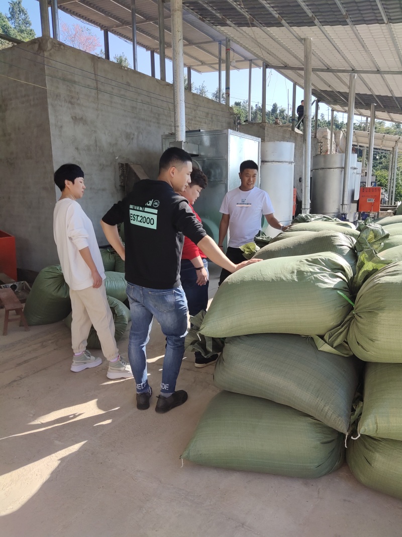 【咖啡豆】阿拉比卡豆双龙泉精品烘焙咖啡豆(A1)量大从优