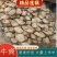 山东精品莲藕产地直发品质保证一手货源量大从优