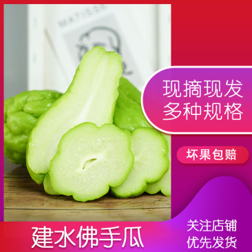 佛手瓜新鲜蔬菜捧瓜洋丝瓜福寿瓜合掌瓜安南瓜农家自种棚瓜