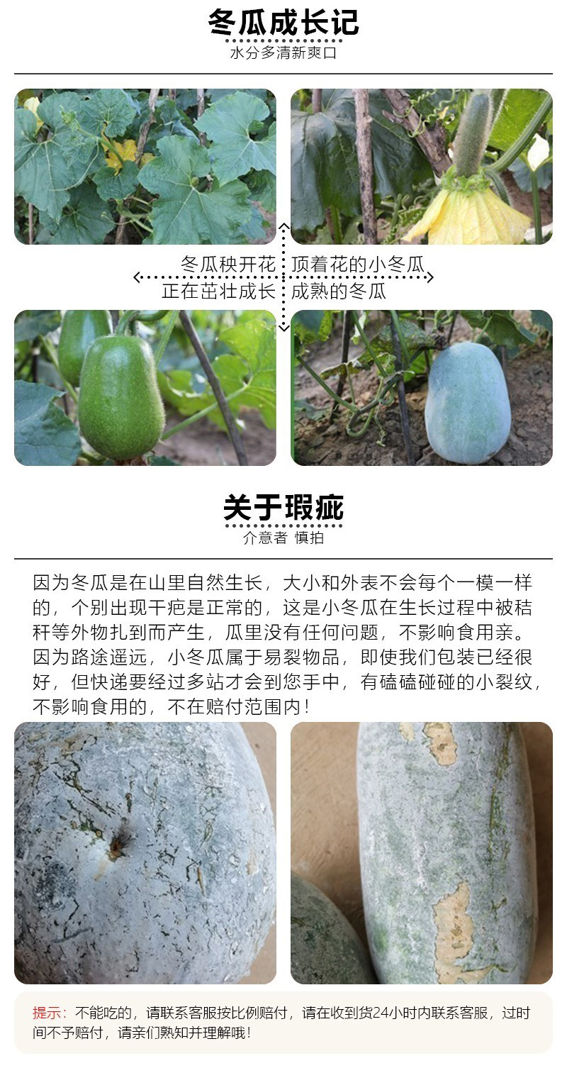 嫩瓜迷你小冬瓜粉皮小东瓜新鲜应季小毛瓜当季蔬菜嫩毛节瓜