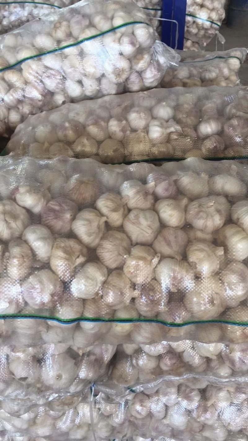 【实力推荐】紫皮大蒜红皮大蒜商超电商规格齐全量大