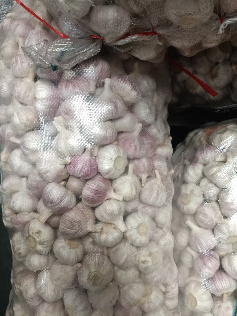 【实力推荐】紫皮大蒜红皮大蒜商超电商规格齐全量大