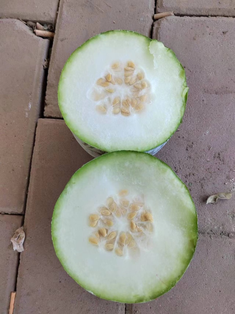 【推荐】一串零冬瓜产地直供大量供应诚信经营