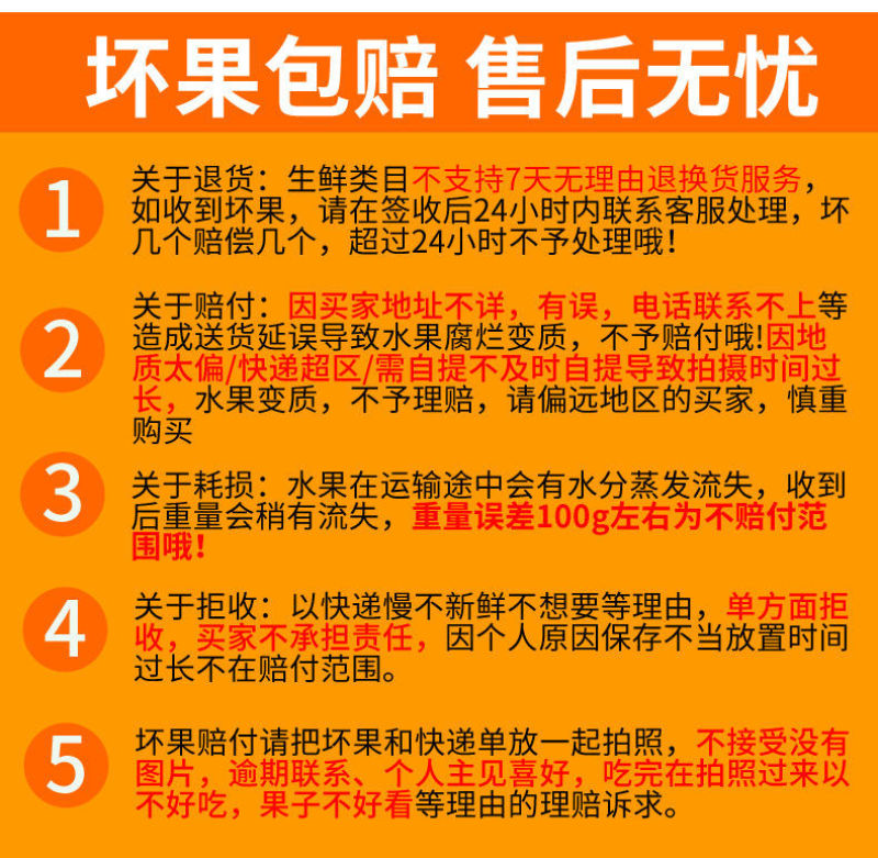 精品千禧圣女果小番茄现摘现发自家果园果肉肥厚香甜可口