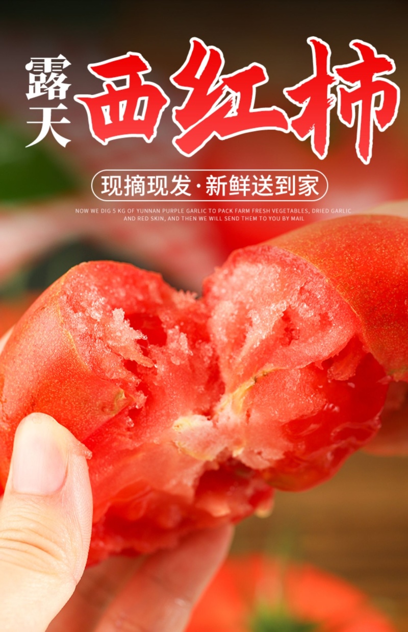 硬粉西红柿沙瓤香甜多汁果肉饱满承接团购电商代发