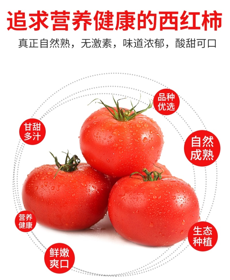 硬粉西红柿沙瓤香甜多汁果肉饱满承接团购电商代发