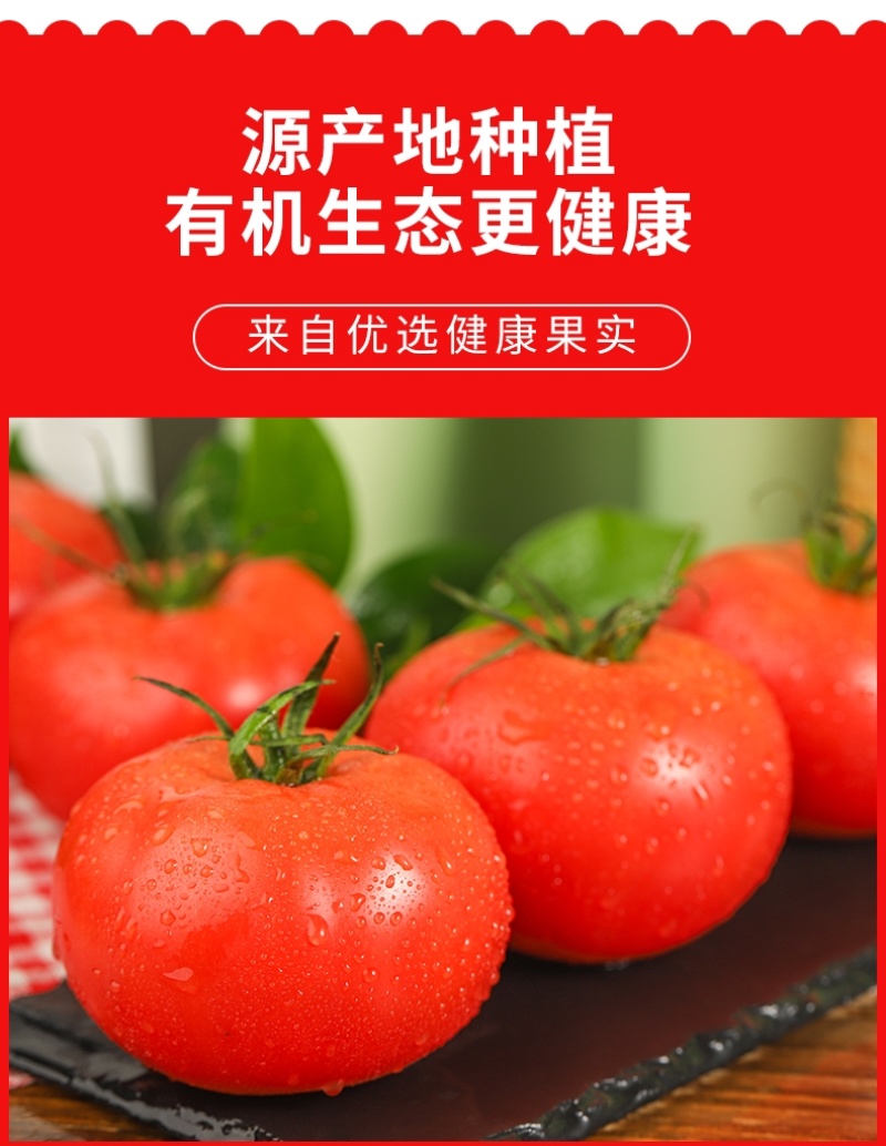 硬粉西红柿沙瓤香甜多汁果肉饱满承接团购电商代发