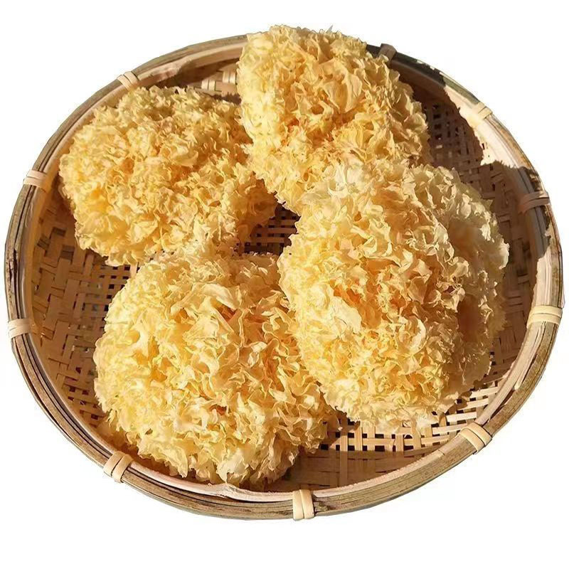古田县基地直供银耳新鲜干货品质优口感软糯热卖中