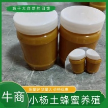 贵州精品五陪子蜂蜜厂家直发品质保证一手货源量大从优