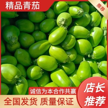【荐】精品青茄子按需包装产地直供货源稳定欢迎来电咨询