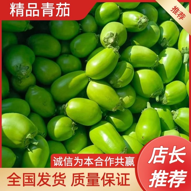 【荐】精品青茄子按需包装产地直供货源稳定欢迎来电咨询