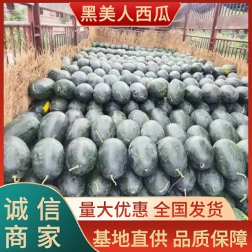 【优选】精品黑美人西瓜大量供应,物美价廉,靓货,市场货